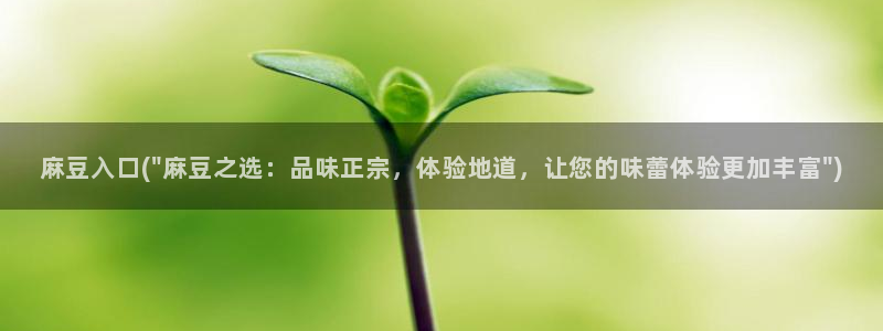 在线麻豆：麻豆入口(\