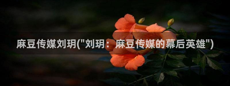 精品麻豆：麻豆传媒刘玥(\