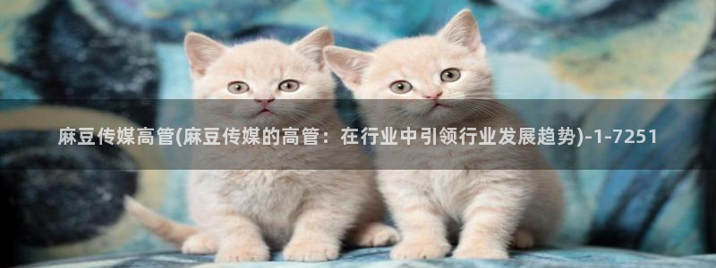 av麻豆专区：麻豆传媒高管(麻豆传媒的高管：在行业中引领行业发展趋势)