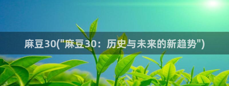 wwav麻豆专区：麻豆30(\