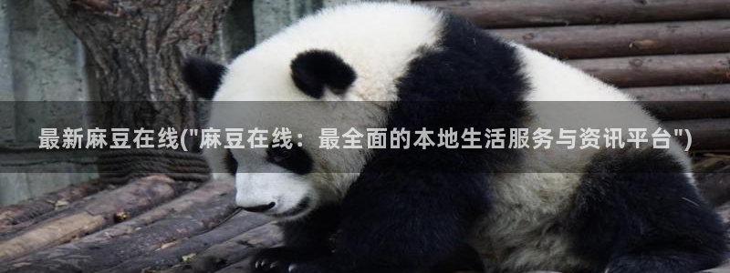 麻豆专区在线：最新麻豆在线(\