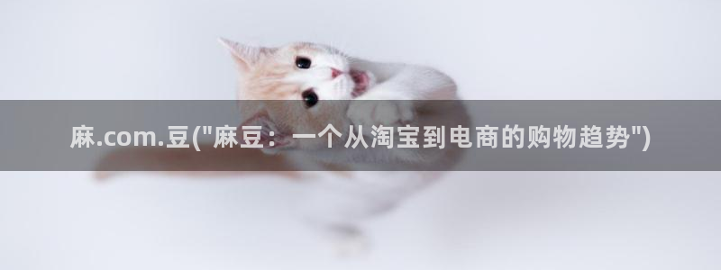 麻豆全集：麻.com.豆(\