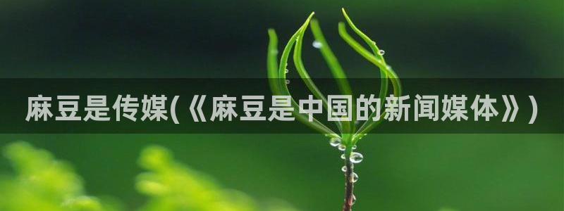 青草社区麻豆：麻豆是传媒(《麻豆是中国的新闻媒体》)