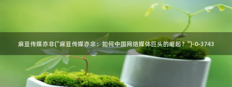 91麻豆国产专区：麻豆传媒亦非(\