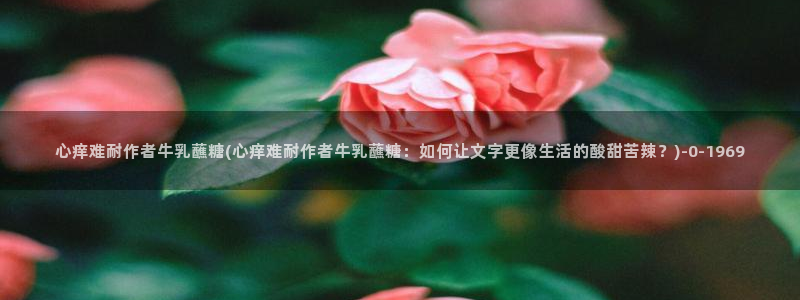 糖vlog日常