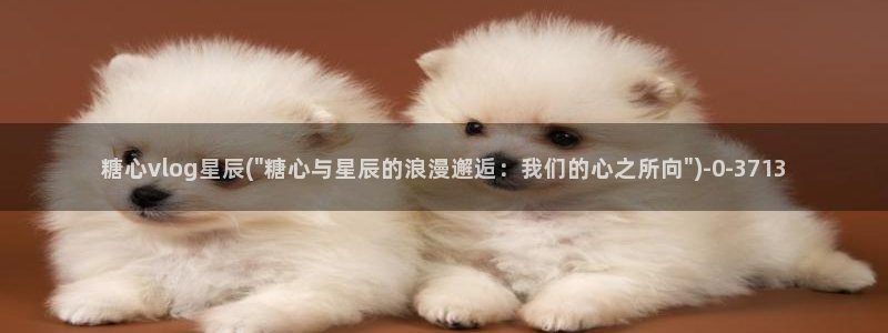 糖心vlog,