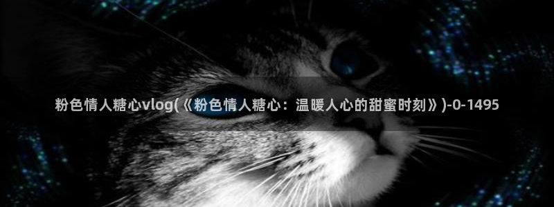 糖心vlog网站免费看