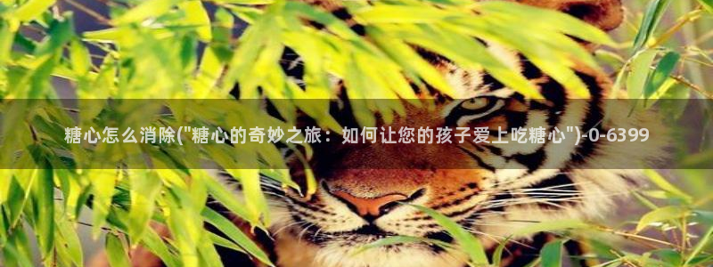 糖心 vlog 免费版