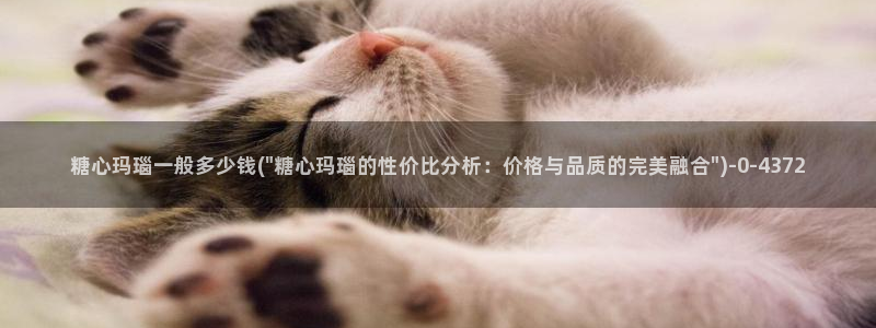 糖心vlog产精国免费入口
