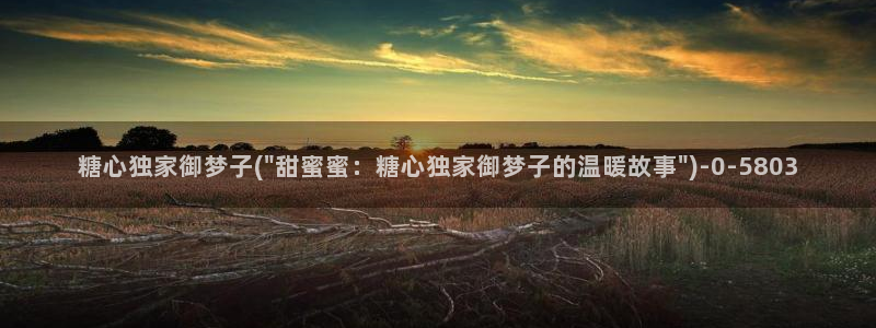 糖心vlog破解视频