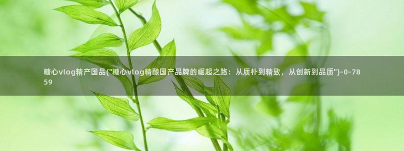 糖心vlog产精国品
