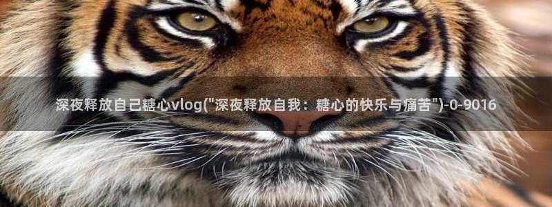 糖心vlog tv