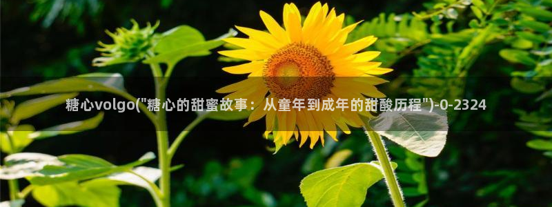 糖心vlog在线看