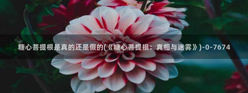 糖心视频vlog冉冉学姐