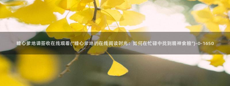 糖心vlog观网观看