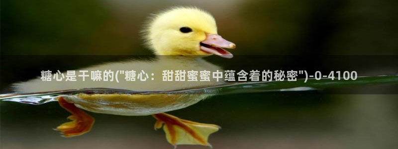糖心日常vlog