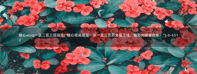 糖心vlog 入口