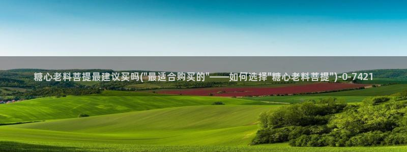 91产国在线观看糖心vlog
