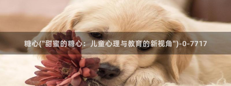 心糖vlogo