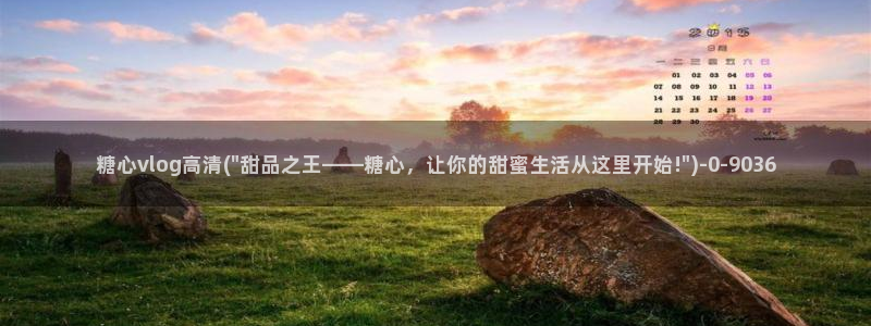 糖心vlog会员