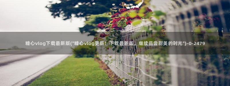 糖心vlog最新版